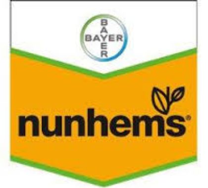Imagine pentru producător Nunhems
