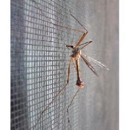 Plasa contra insectelor