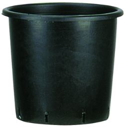 Poza cu Containere PE