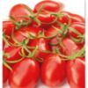 Poza cu Rasaduri de rosii cherry Nicoleta F1