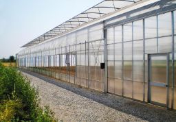 Poza cu Folie pentru solar 180 microni Pati Italia