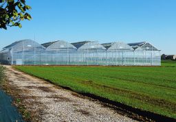 Poza cu Folie solar profesionala - 200 microni Pati Italia