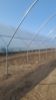 Poza cu Profil 40x40 tip H cu autosusținere și sârmă plastifiată GEO