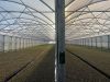 Poza cu FOLIE PLASTIKA KRITIS IN 8 STRATURI EVO 7504 AC, CRYSTAL CLEAR