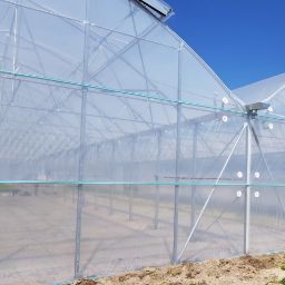 Poza cu FOLIE PLASTIKA KRITIS IN 8 STRATURI EVO 7504 AC, CRYSTAL CLEAR